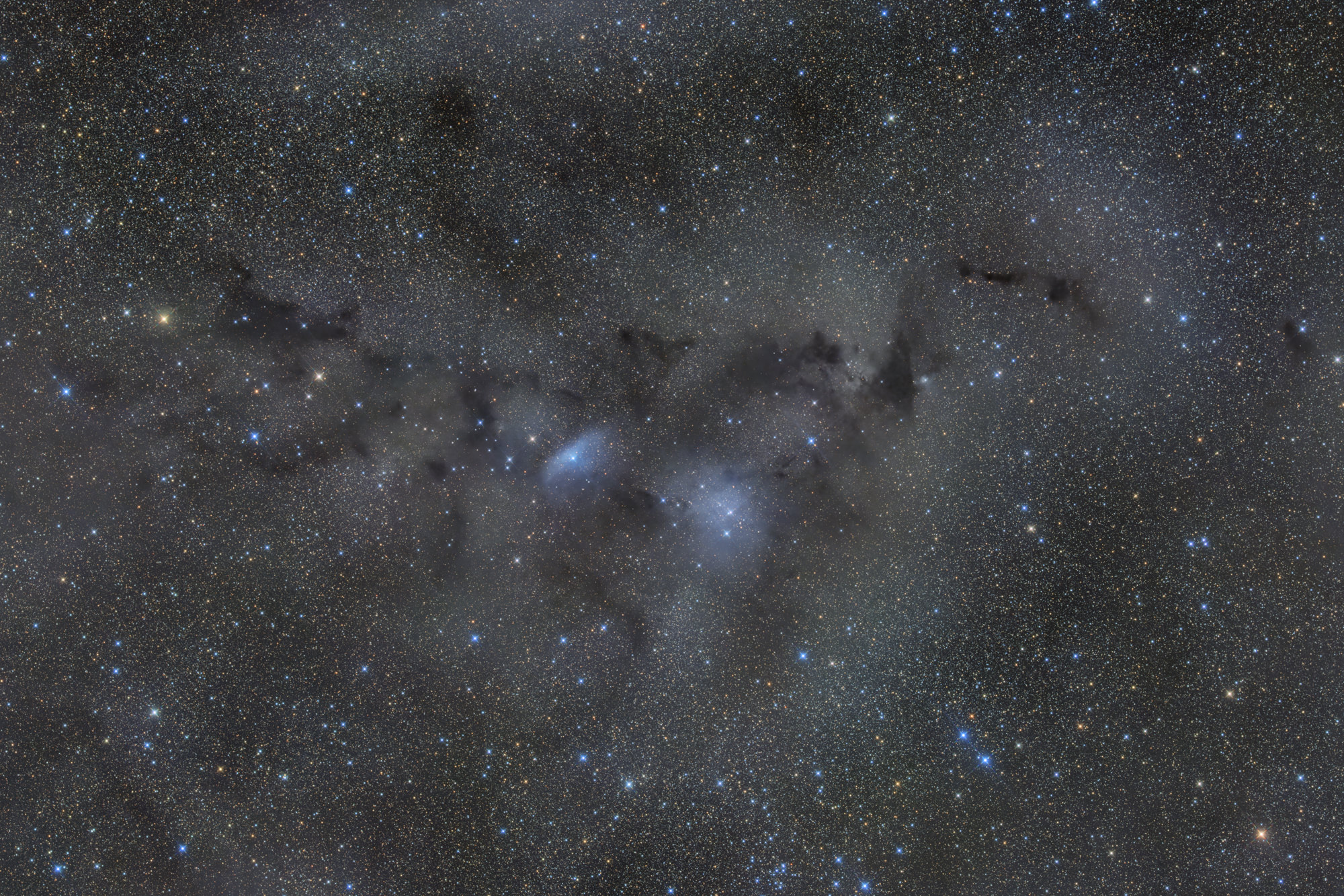 Van den Bergh 126 and van den Bergh 134 are 2 blue reflection nebulae in the constellation of Vulpecula, surrounded by numerous dark nebulae, in the arrangement of which the silhouette of Nessie can be seen.